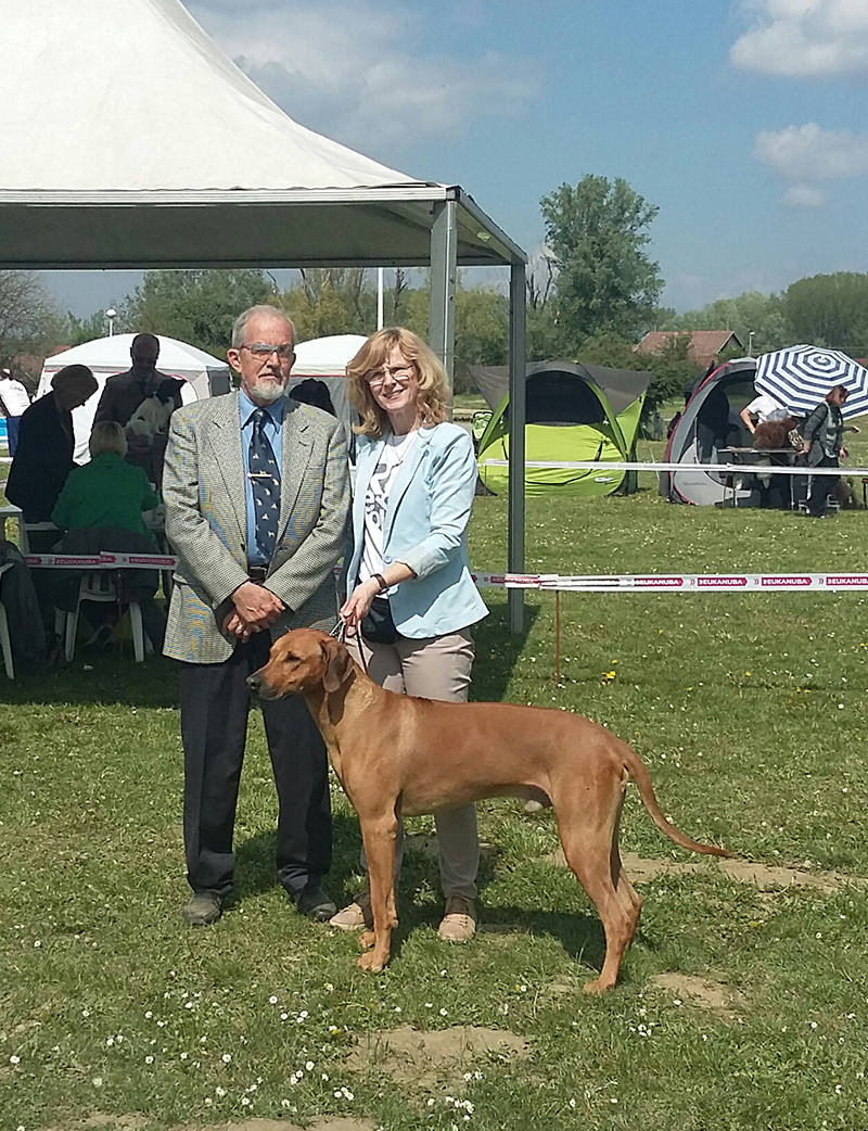 Štěniatka rhodézskych ridžbekov