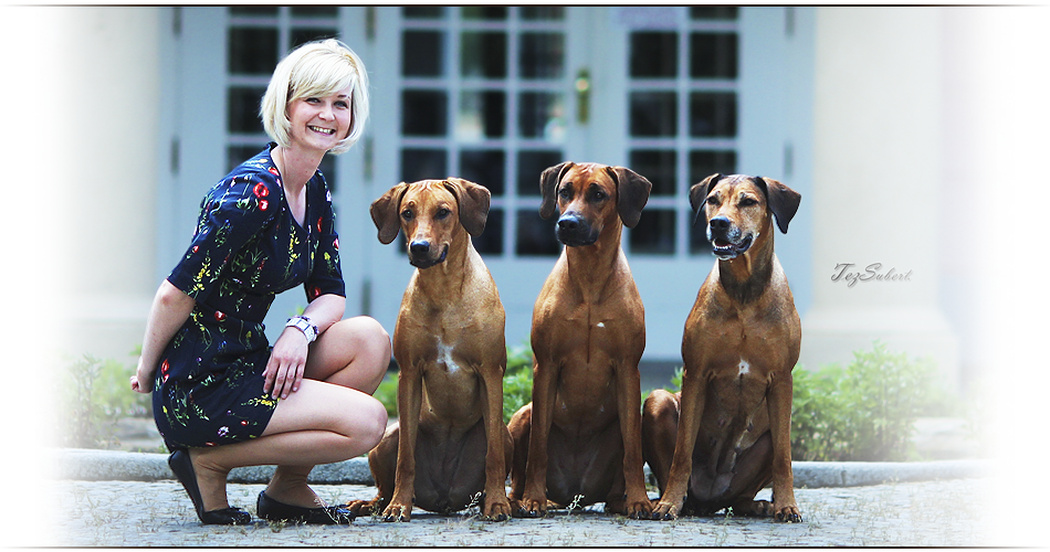 Rhodesian Ridgeback Kaweria