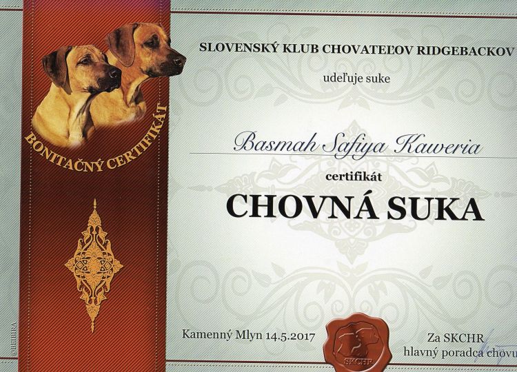 Štěniatka rhodézskych ridžbekov