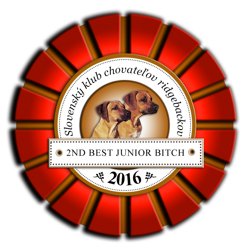 Rhodesian Ridgeback Kaweria