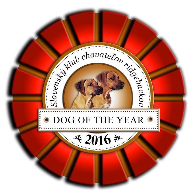 Rhodesian Ridgeback Kaweria